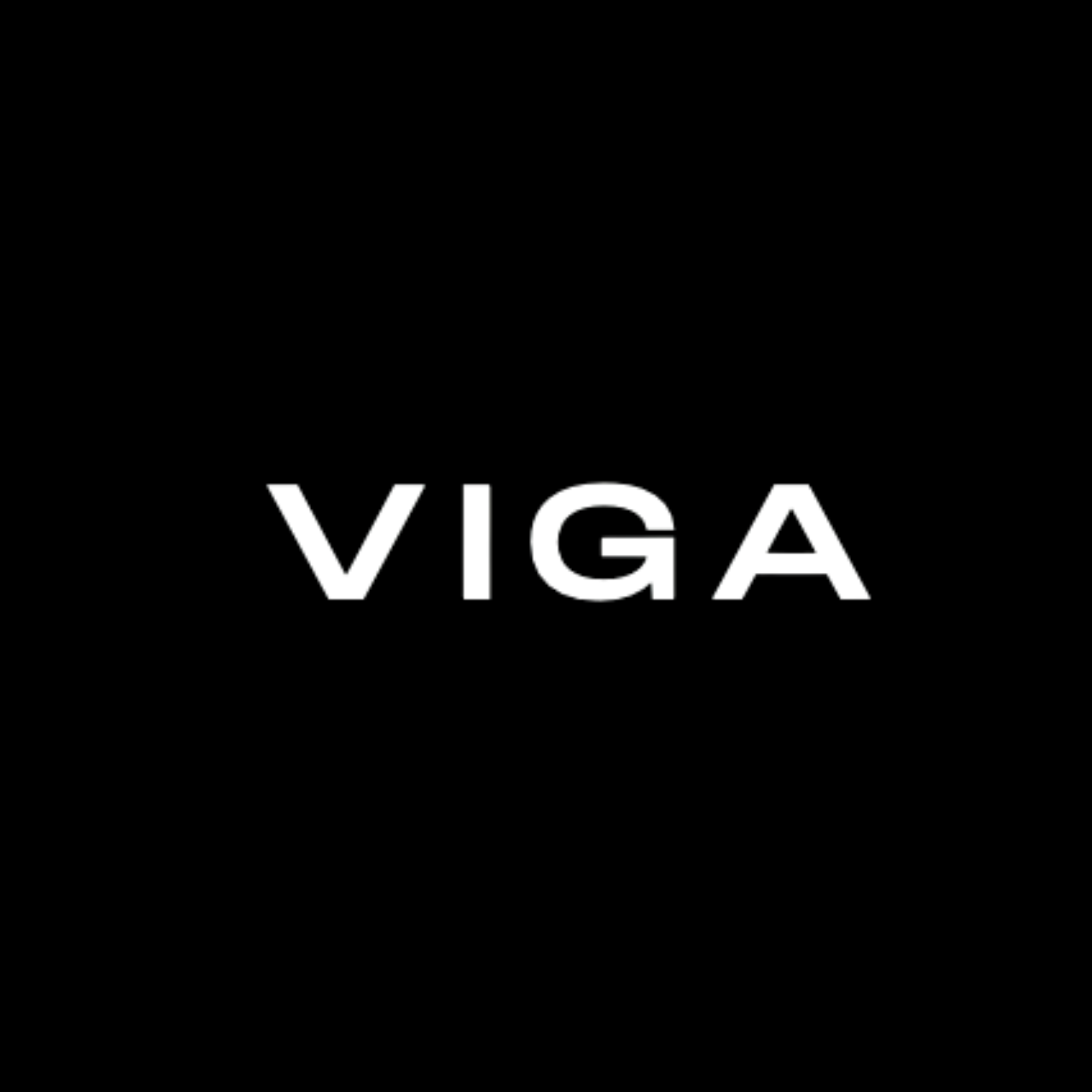 Grupo VIGA